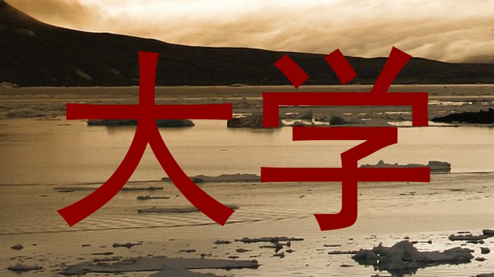 大学