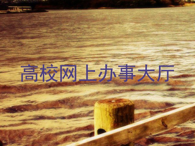 高校网上办事大厅