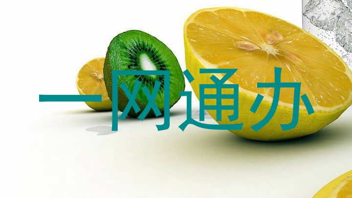 一网通办
