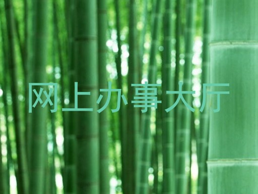 网上办事大厅