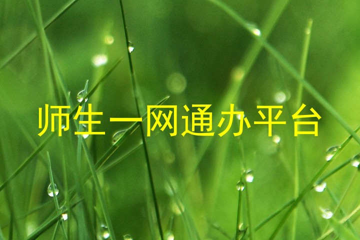 师生一网通办平台