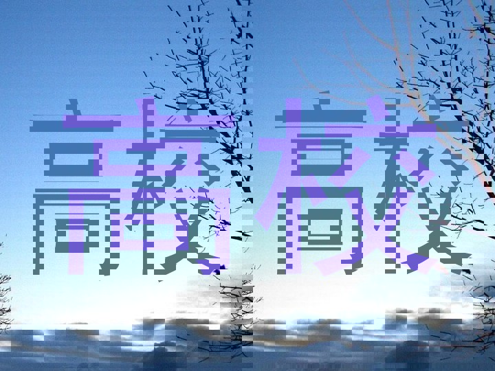 高校