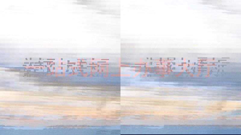一站式网上办事大厅