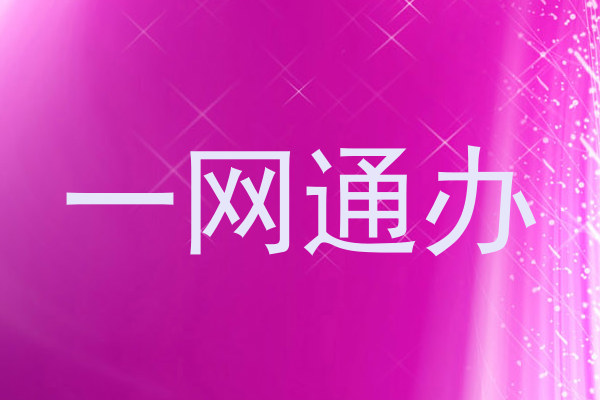 一网通办