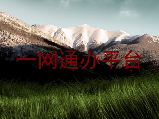一网通办平台