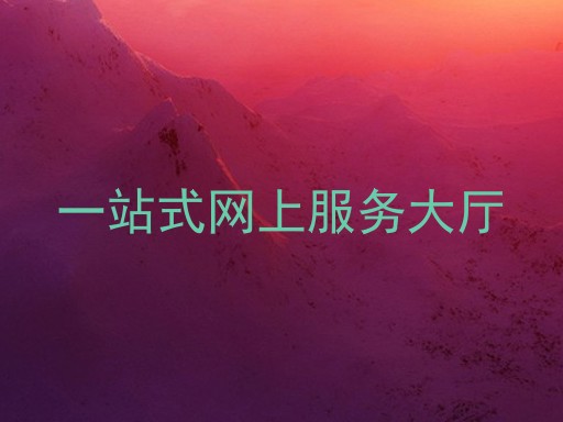 一站式网上服务大厅
