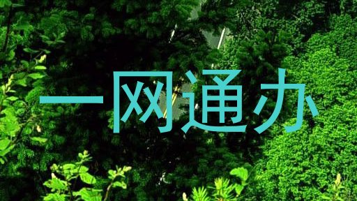 一网通办