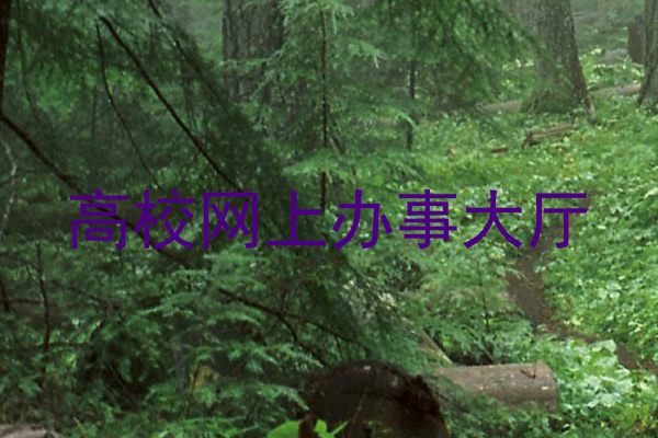高校网上办事大厅