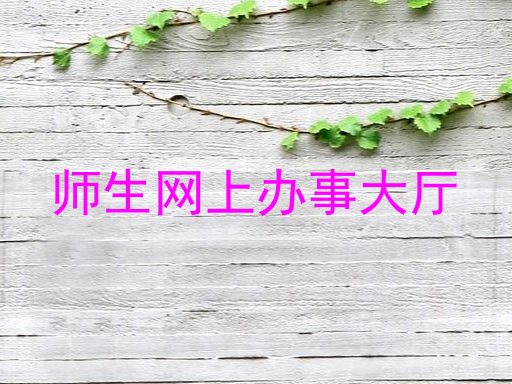 师生网上办事大厅