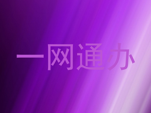 一网通办