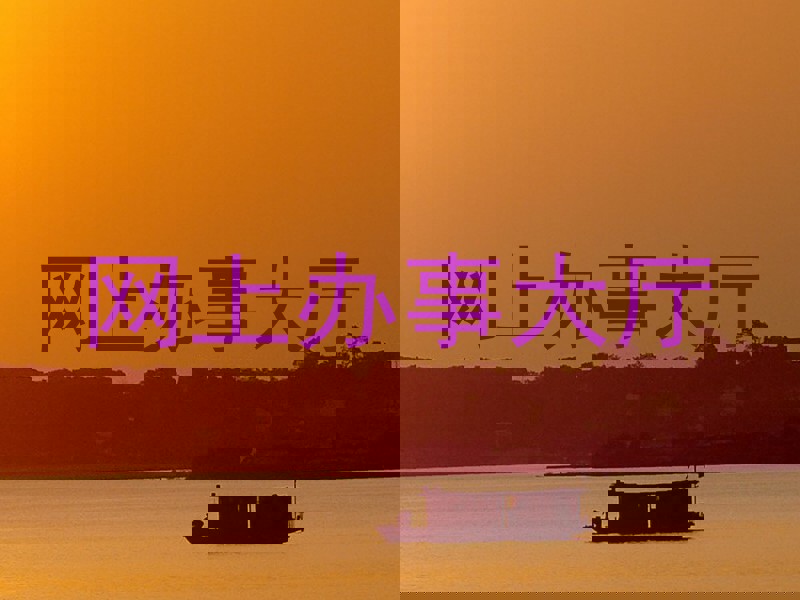 网上办事大厅