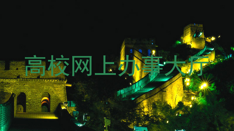 高校网上办事大厅