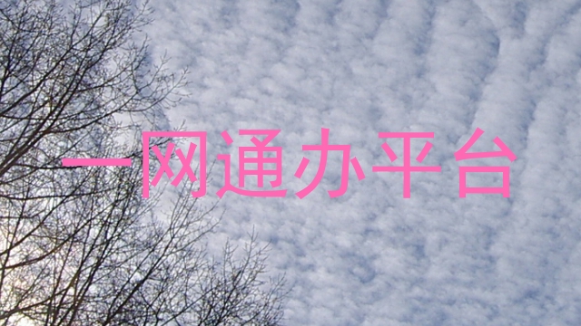 一网通办