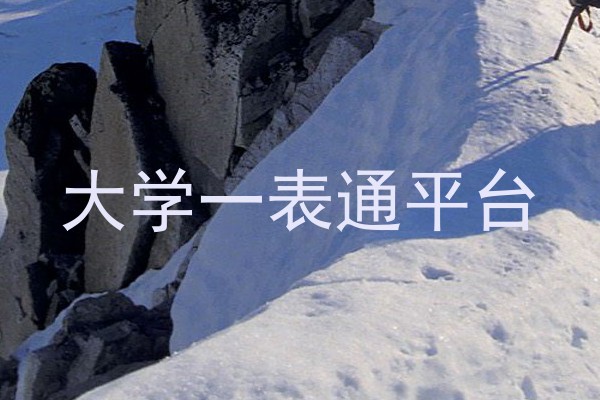 大学一表通平台