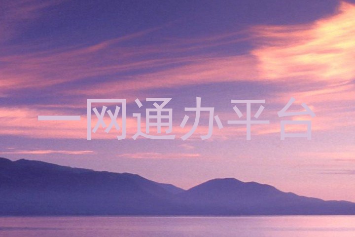一网通办平台