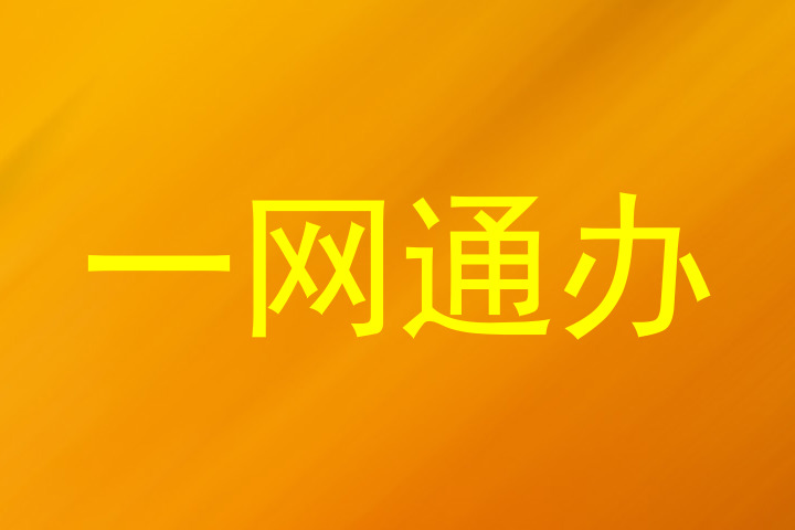 一网通办
