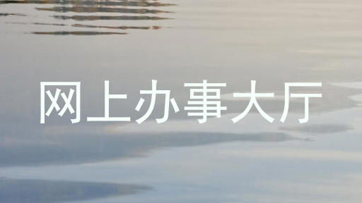 网上办事大厅