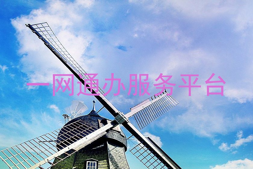 一网通办服务平台