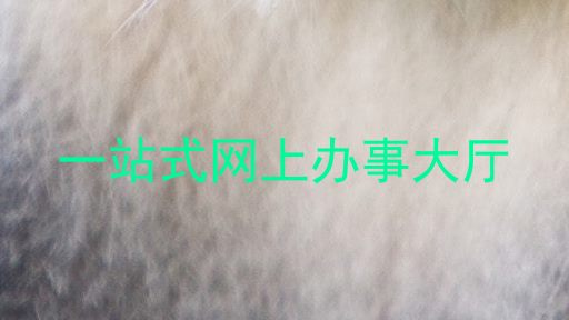 一站式网上办事大厅