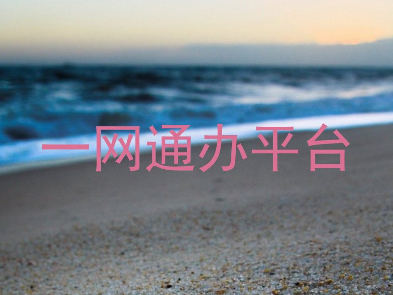 一网通办服务平台