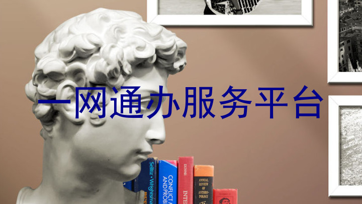一网通办服务平台