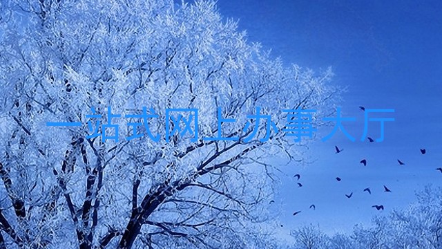 一站式网上办事大厅