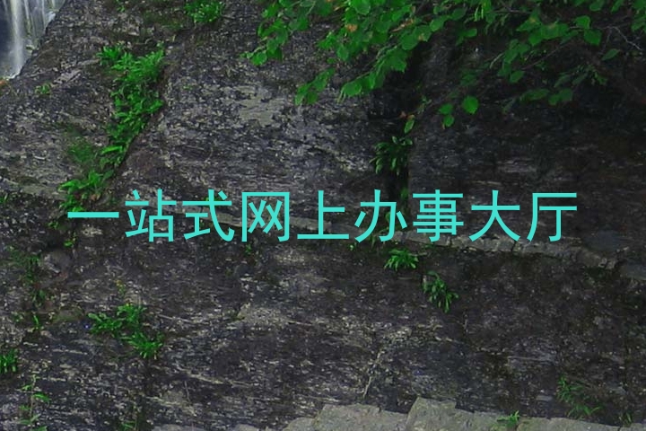 一站式网上办事大厅