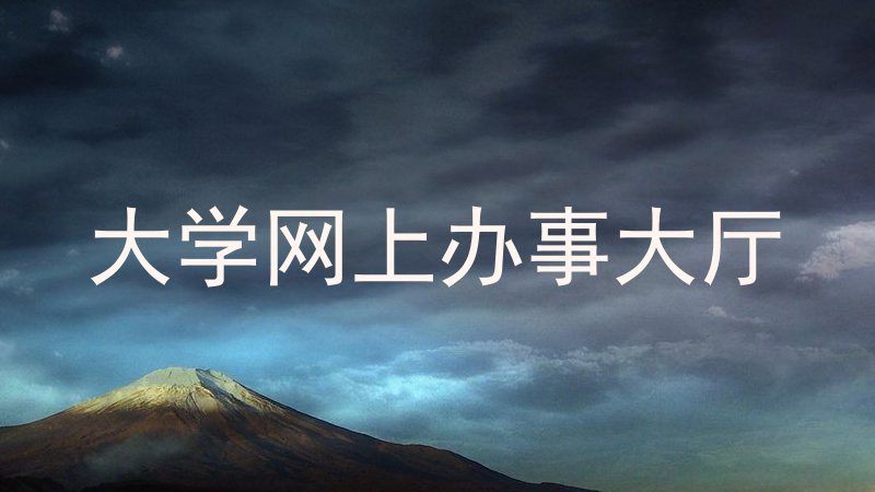 大学网上办事大厅