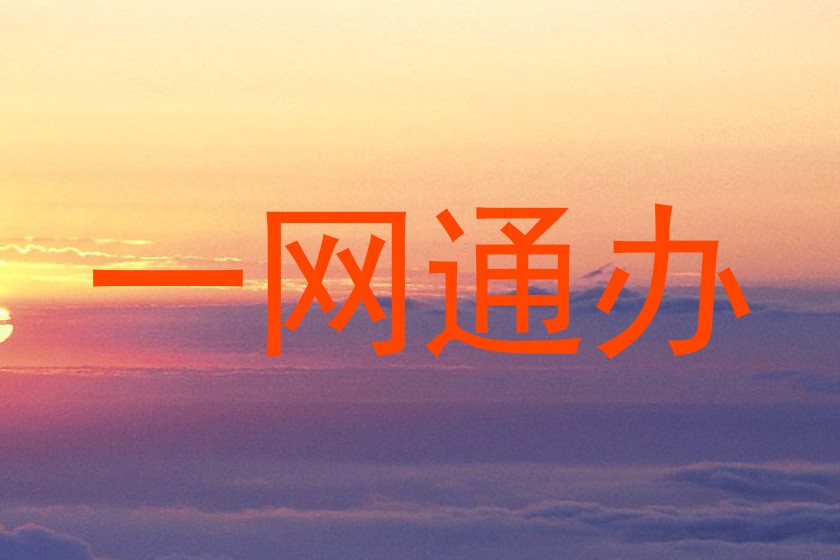 一网通办