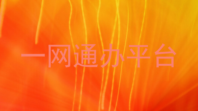 一网通办