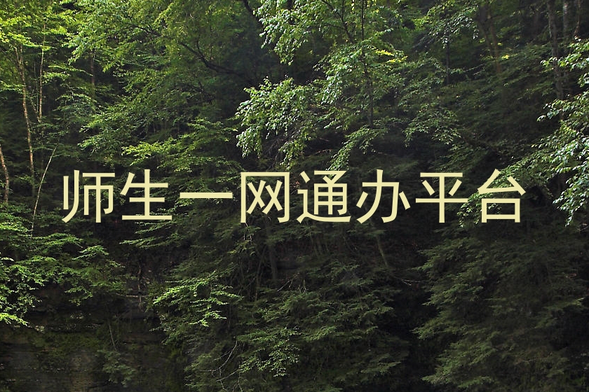 师生一网通办平台