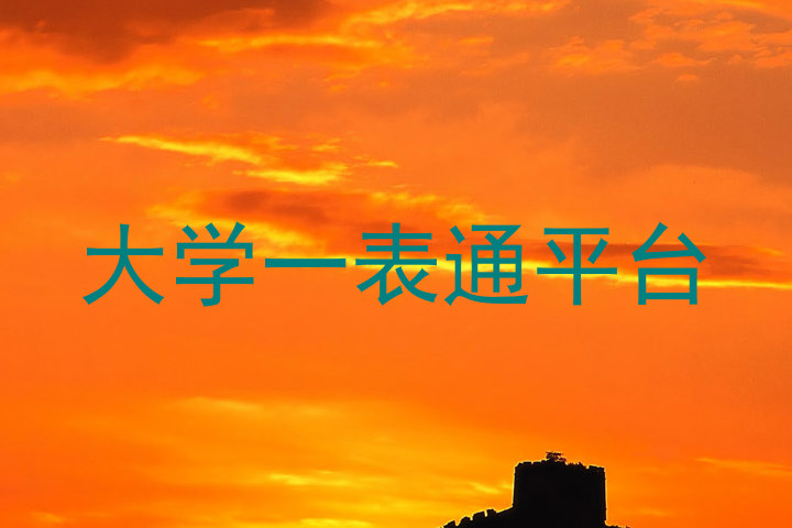 大学一表通平台
