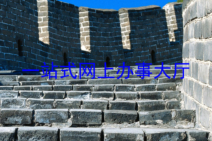 一站式网上办事大厅