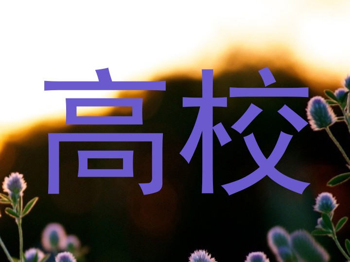高校