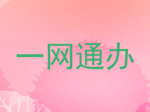 一网通办
