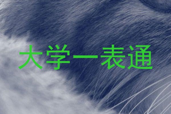 大学一表通