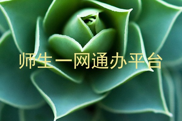 师生一网通办平台