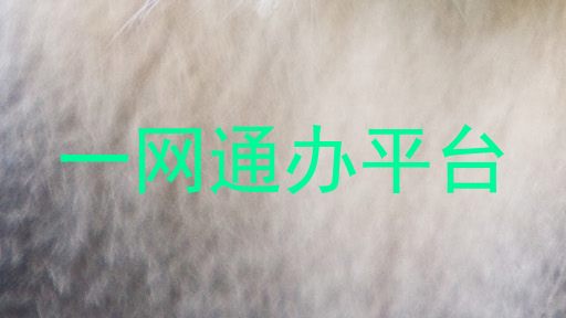 大学