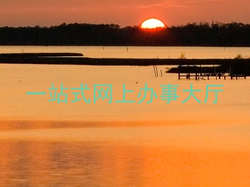 一站式网上办事大厅