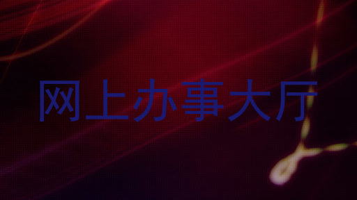 网上办事大厅