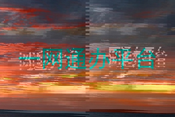 一网通办