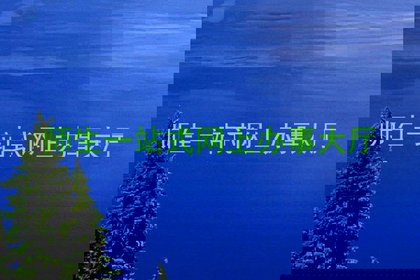 师生一站式网上办事大厅