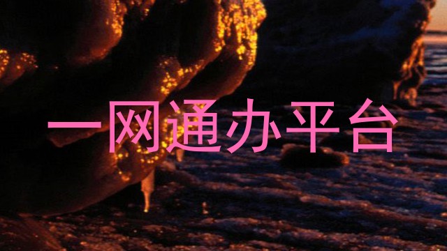 一网通办平台