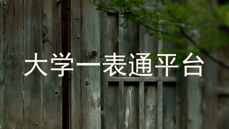 大学一表通平台