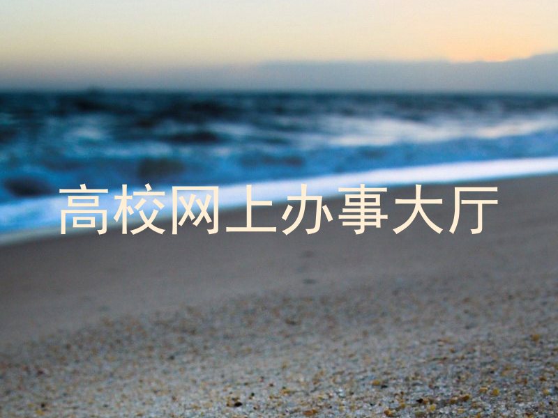 高校网上办事大厅
