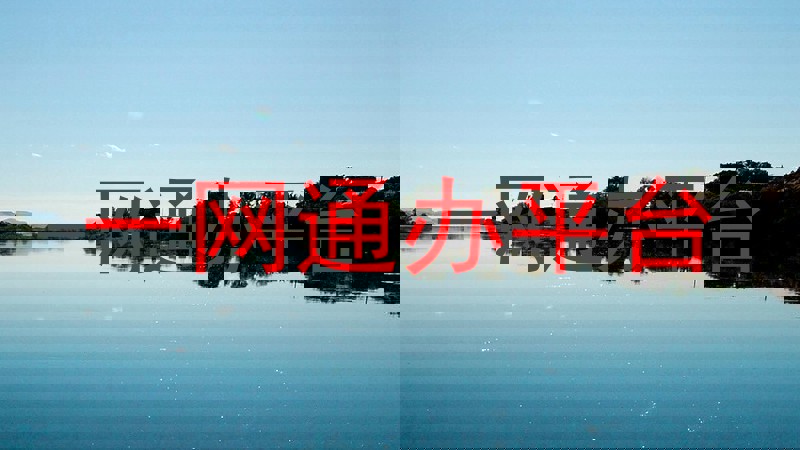 一网通办平台