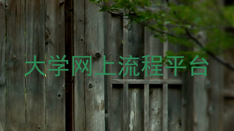 大学网上流程平台