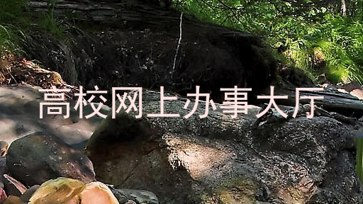 高校网上办事大厅