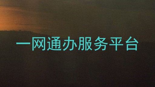 一网通办服务平台
