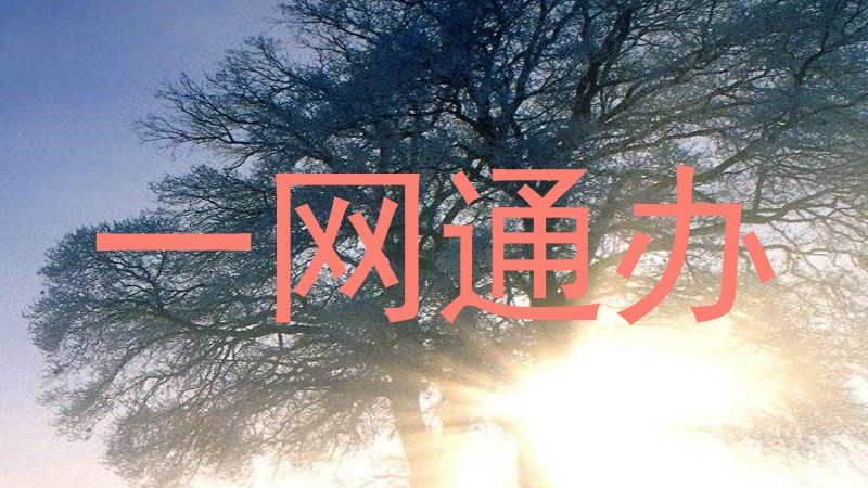一网通办